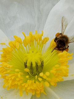 240_320竖版 竖屏gif 动态图 动图