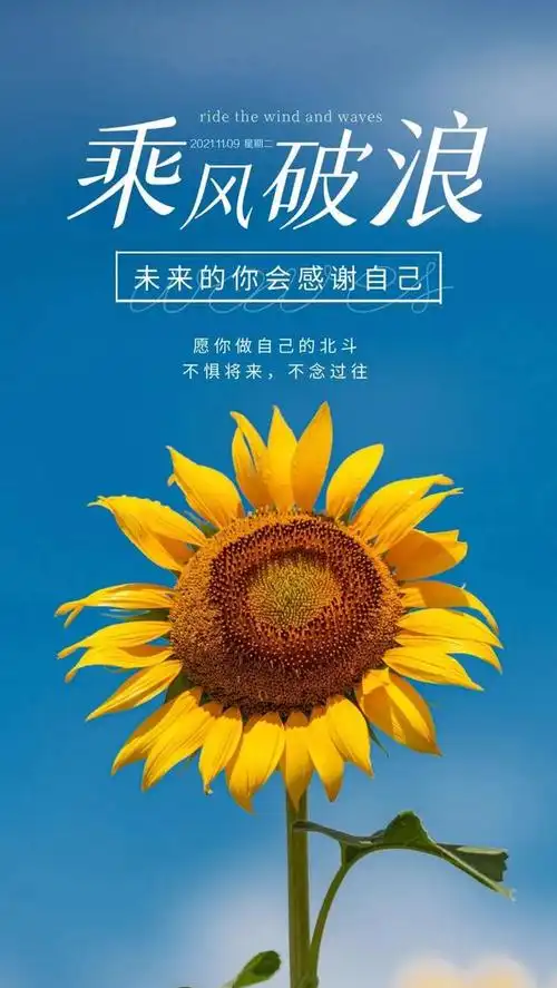 正能量的美好句子形容产品高端精湛的句子