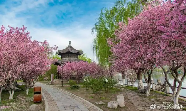 我遇见最美的光##随手拍最美春天##极美南京##总要来