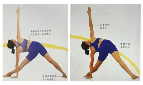 艾扬格大师教你如何正确习练三角伸展式