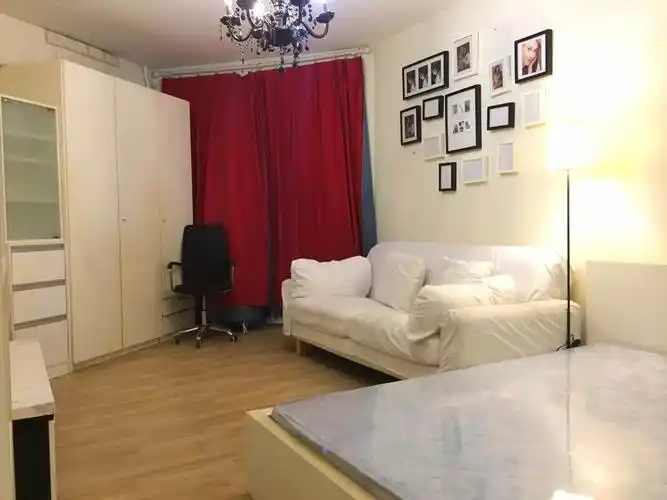 呼家楼地铁旁 关东店北街 呼家楼北街 南向温馨一居室