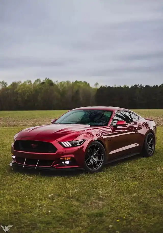 这台福特野马上使用的,是美国305 forged旗下flow technik系列的ff01