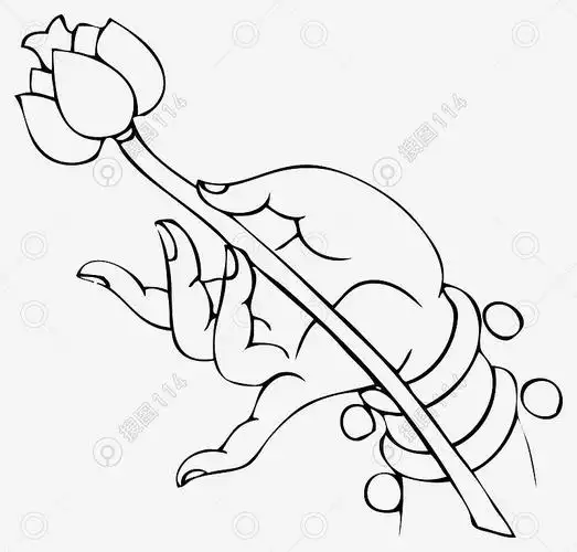 手绘线描佛手指莲花素材