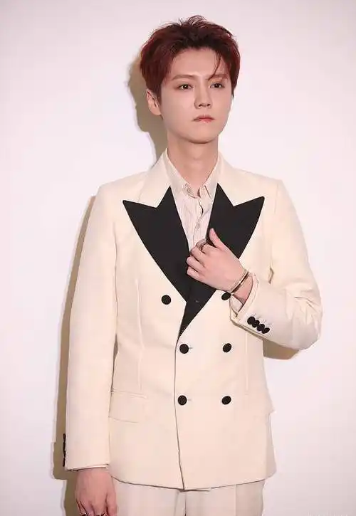 鹿晗,罗志祥,雷佳音,祝绪丹,范玮琪,李沁_营销_宣传_张艺兴