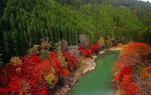 秋天优美自然风光高清图片桌面壁纸高清大图预览1920x1200_风景壁纸
