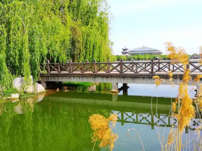 《春天》 - 美篇