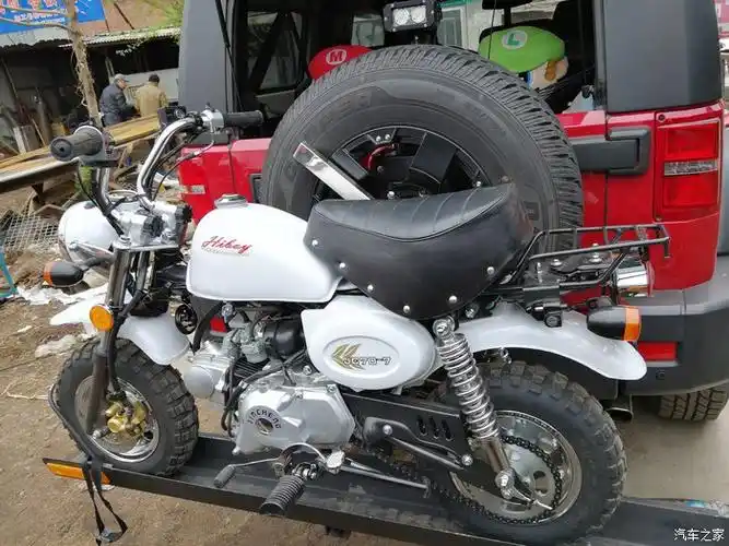 金城小金童新购发帖已上牌照