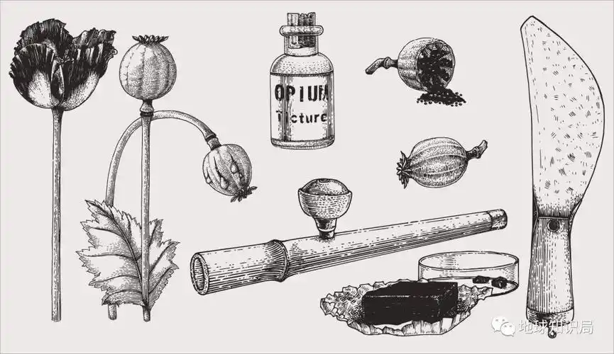 全省一起种鸦片安徽曾经有多惨