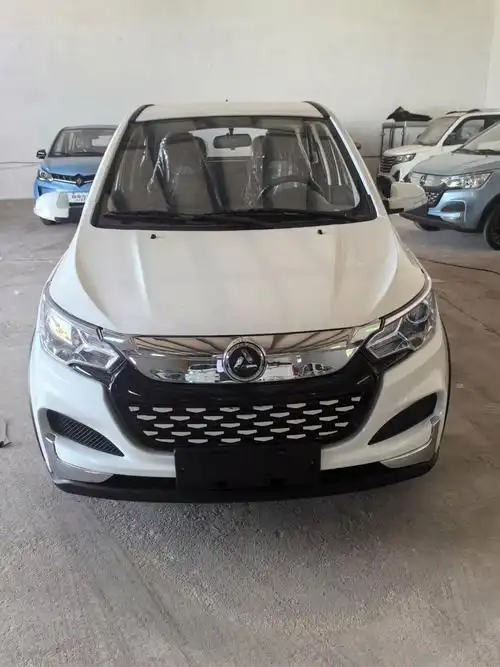 全新鸿日s1pro电动汽车