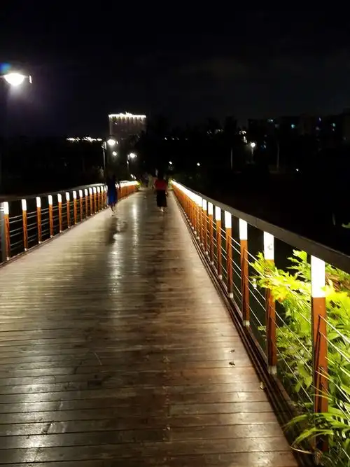 三亚晚上遛弯夜景.