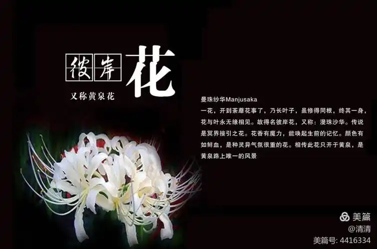 友情篇(二十九):县里的雨(一七)