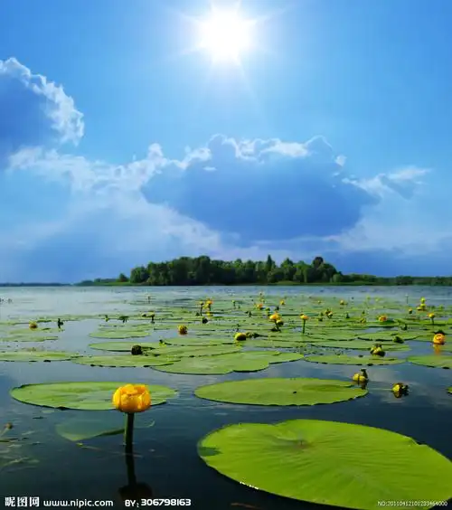 河塘美景摄影图__自然风景_自然景观_摄影图库_昵图网nipic.com