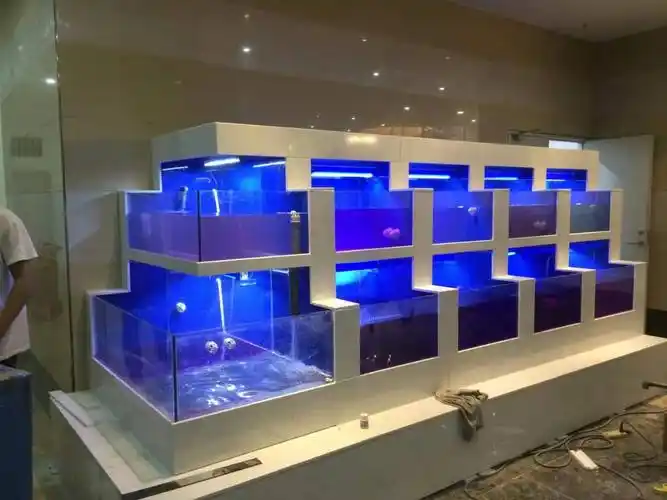 钟楼玻璃鱼缸定制定做拥有专业的水族系统工程师,清洁人员队伍