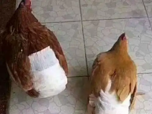 搞笑笑到抽筋的7张图片看前你一定要忍住忍住再忍住