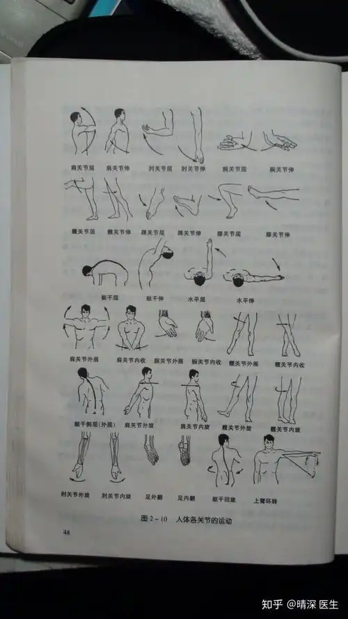 想问一下关节运动有哪些关节运动的图解是如何的