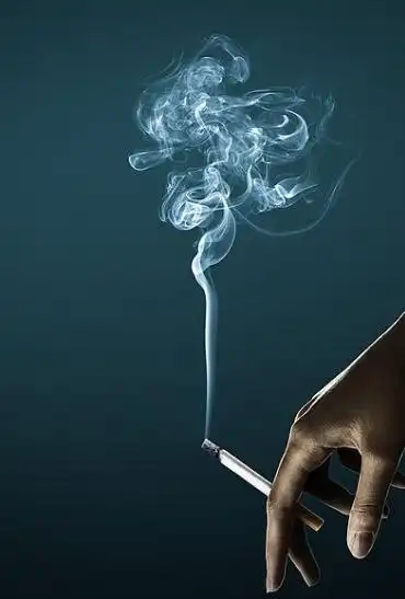 男子在高铁上吸烟触发烟雾警报导致该次列车降速被拘留5日