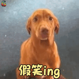 狗假笑ing搞怪soogifsoogif出品gif动图_动态图_表情包下载_soogif
