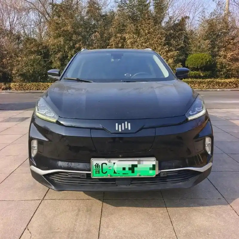 新到店准19年威马ex5高配  纯个人私家非营运  全车原版 - 抖音