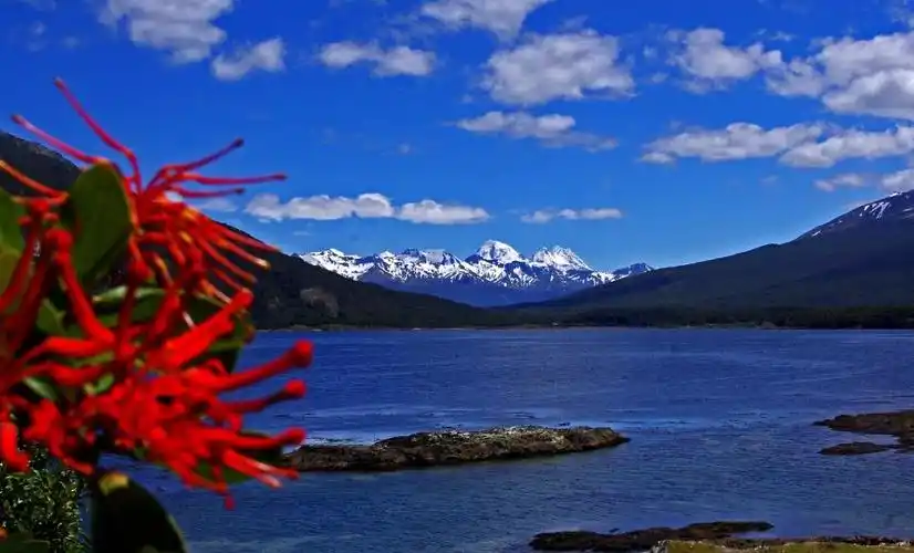 世界最南端的自然风景,真的很少见!