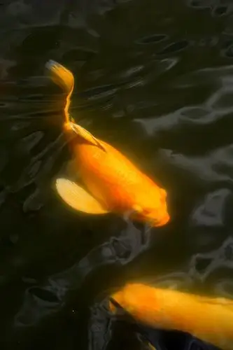 2000_3000竖版 竖屏