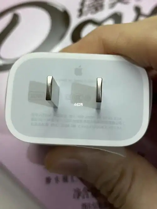 69求鉴定苹果1220w充电头真假