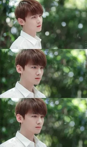 白敬亭 陆之昂夏至未至