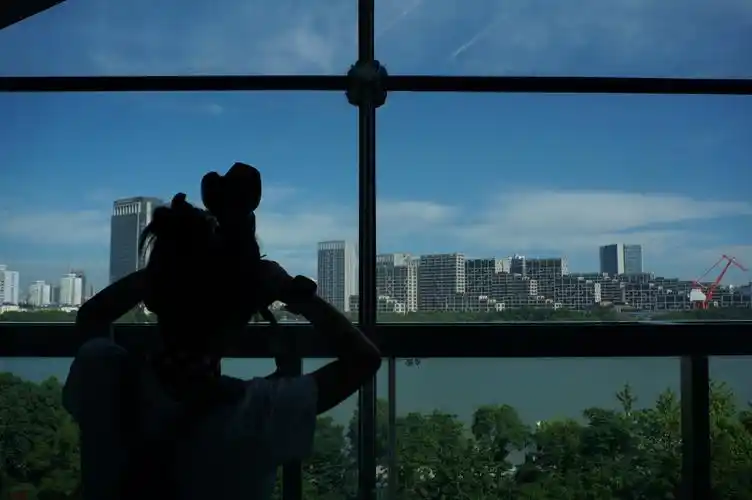 喜欢透过玻璃窗的风景,但多了一个人影.