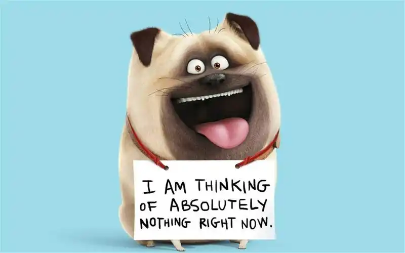 卡通动物《爱宠大机密》啾啾精选高清电脑壁纸下载