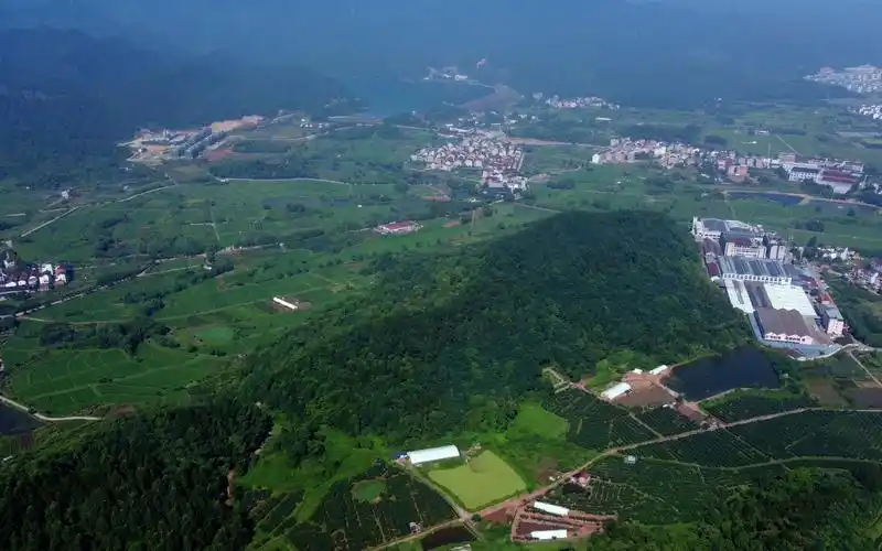 航拍浙江武义清溪口水库附近的村庄,大地一片绿色,风景优美_哔哩哔哩