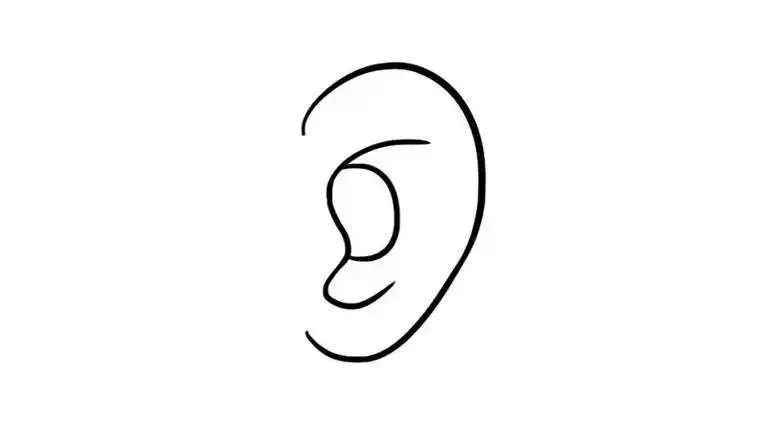 双耳朵简笔画