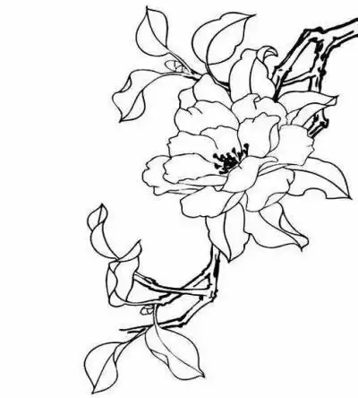 橡皮章 素材 黑白 动漫 漫画 头像 文字 瘦金体 古风 排版 果冻