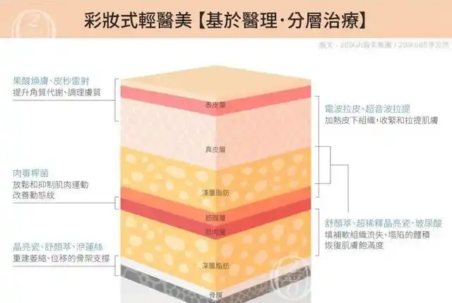看似薄博的皮肤表面下,还分了许多不同的组织层次,比我们想像的更复杂