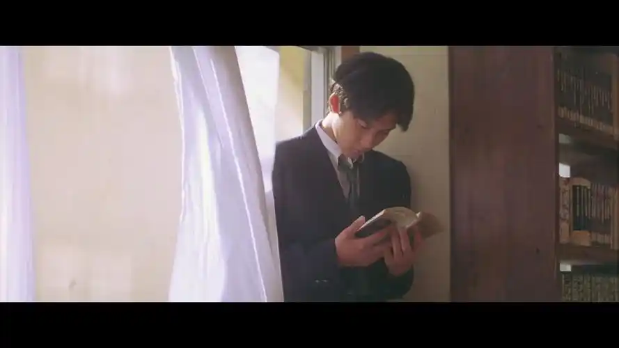 日本电影情书中的男藤井树是否把博子当替代品这样对她公平吗