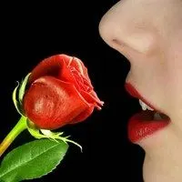 红唇鲜花不露脸头像【点击鼠标右键下载】