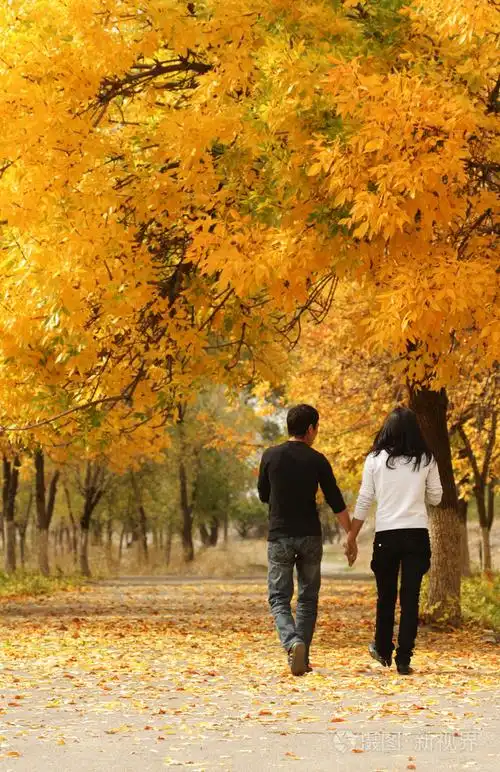 一对年轻夫妇在秋天散步
