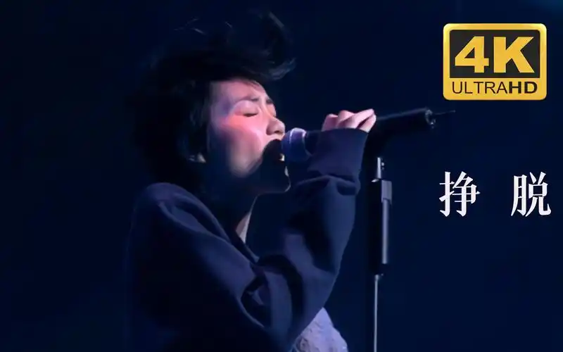 4k60fps王菲faye挣脱2002日本全面体演唱会现场国语梦中人国语版