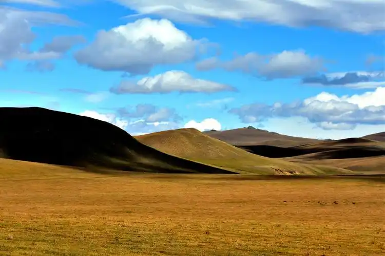 草原类型很多,诸如草甸草原,典型草原,荒漠草原及高寒草原等分类,如