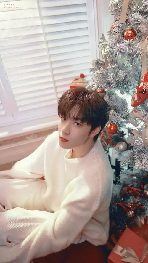 青年演员刘耀文