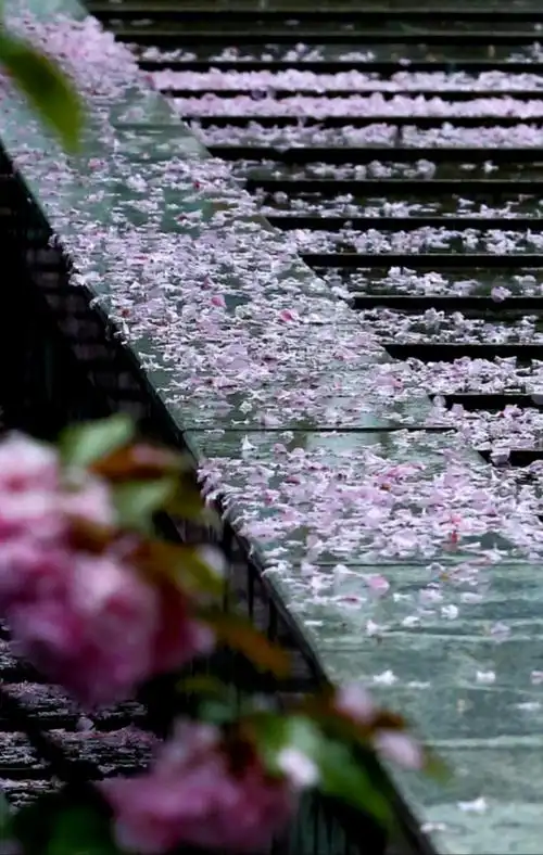 满地落花红带雨