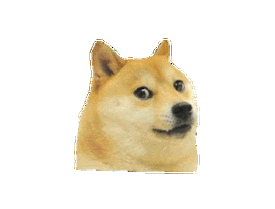 狗表情(神烦狗表情包)(8)