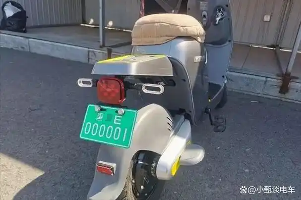 黑龙江和吉林开启电动车上牌工作,各地发放首张牌照,涉及5类车