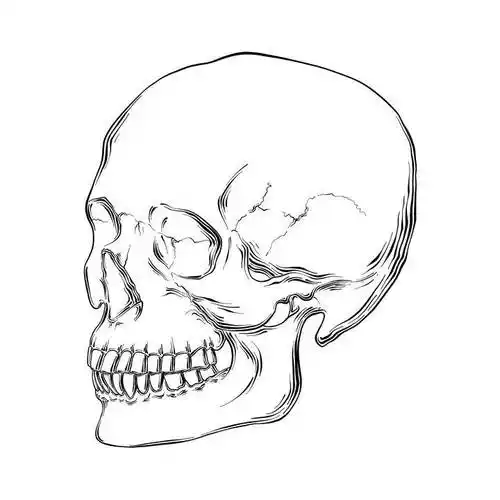 骷髅头简笔画 骷髅头简笔画 禁毒 - 水彩迷