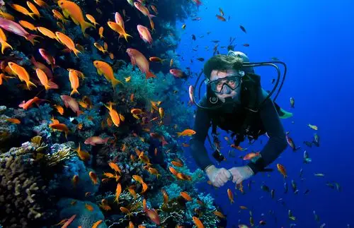 潜水之旅,与深海来场华丽约会