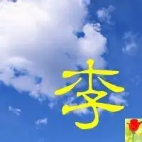 好看李字图片头像_微信头像图片大全