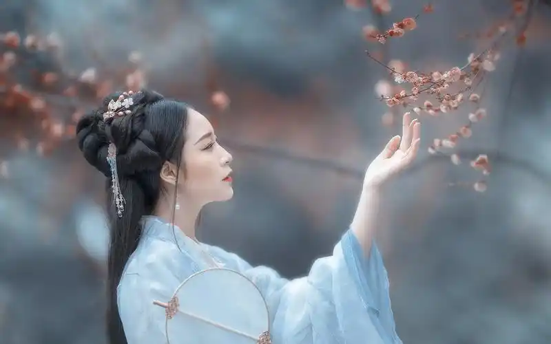 古典美女杏树下的柔情写真