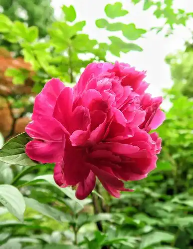 大自然美景如画