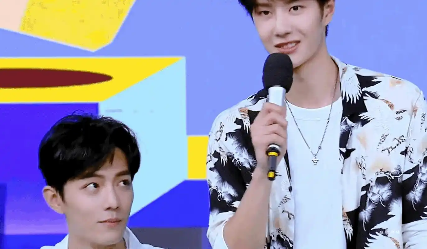 我不是cp粉,我也不磕他俩的cp,内娱我只喜欢王一博,肖战也是一个不错