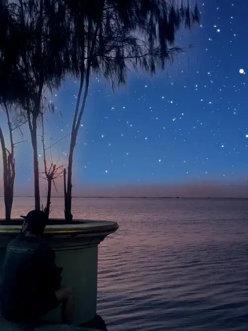 夜晚沉醉于海边