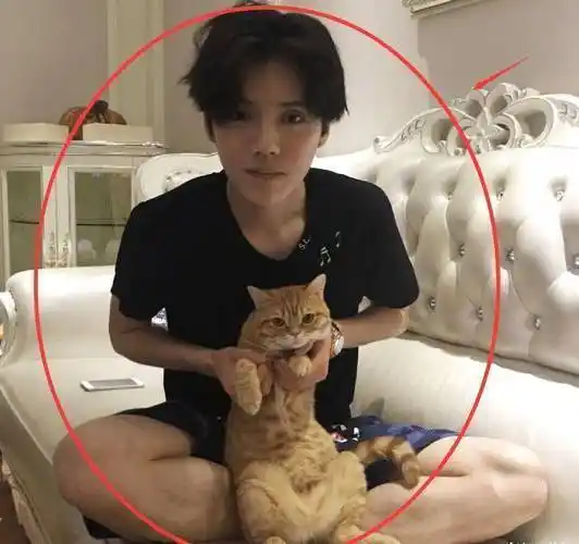 原创鹿晗出道生图火了关掉美颜如同卸妆暴露出真实颜值