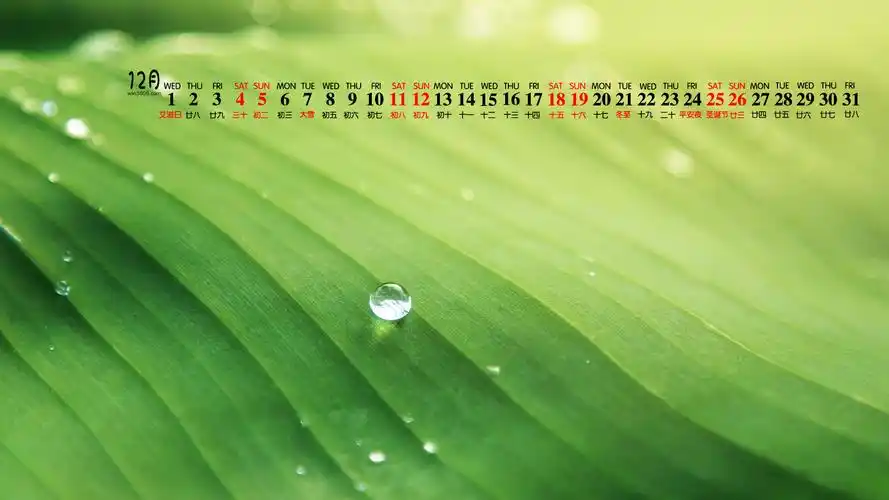 2021年12月绿色护眼日历壁纸图片